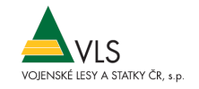 Logo VLS